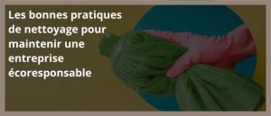 Lire la suite à propos de l’article Les bonnes pratiques de nettoyage pour maintenir une entreprise écoresponsable